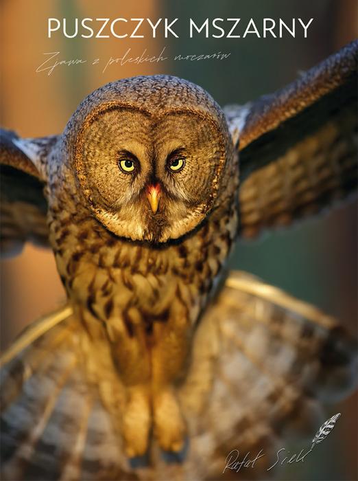 Puszczyk mszarny — Zjawa z poleskich moczarów