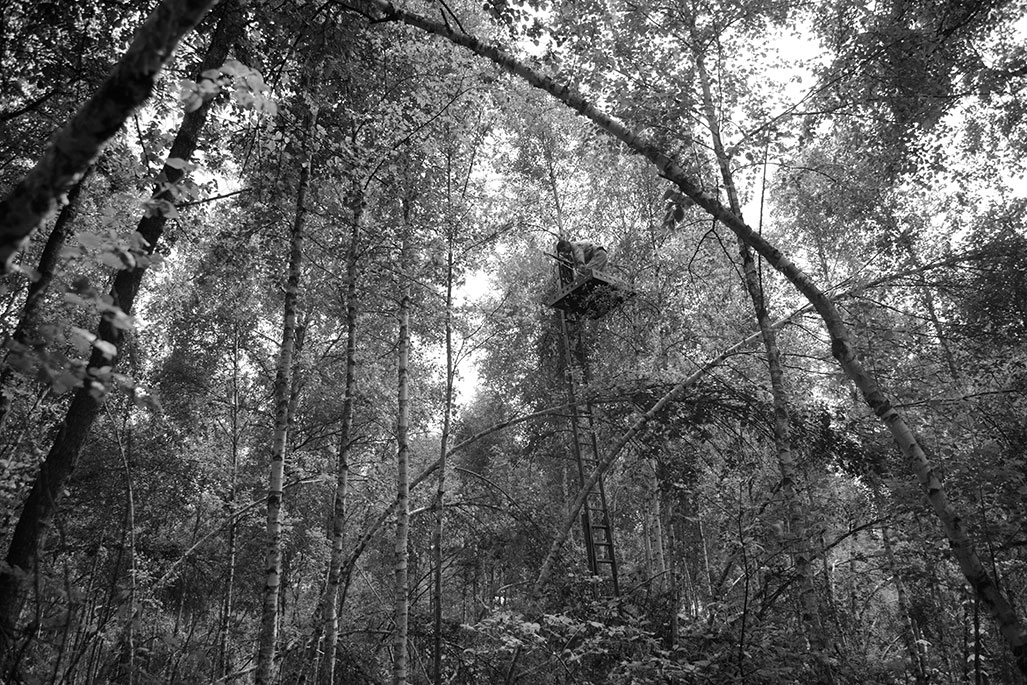 Budowa ukrycia przy orliku krzykliwym, czerwiec 2006. Fot. Artur Tabor