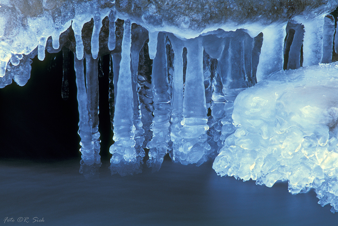 Roztoczańskie rzeźby